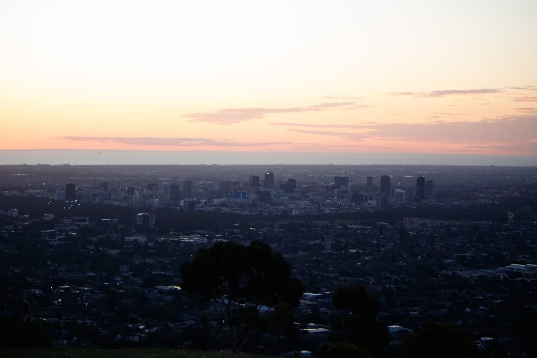 Adelaide Hills Cafes: A Weekend Escape from the CBD