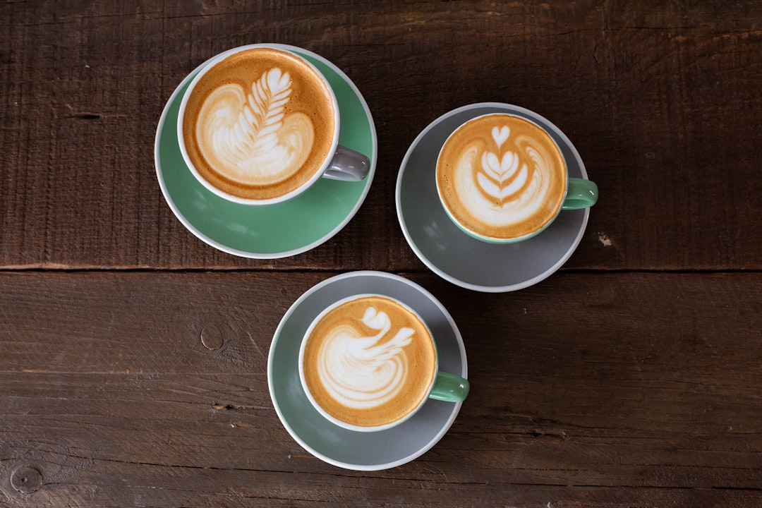 Best Cafes in North Adelaide for Quiet Work Spots