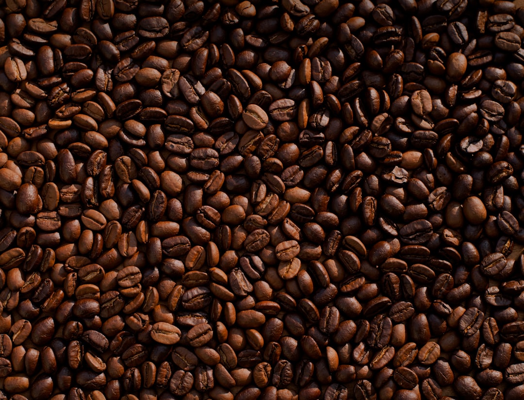 Coffee Bean Roast Levels Explained: Light, Medium, and Dark