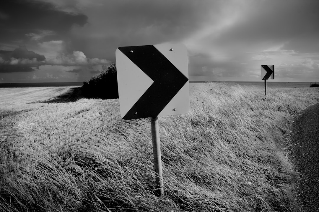 Leading Through Uncertainty: Decision-Making When You Don't Know